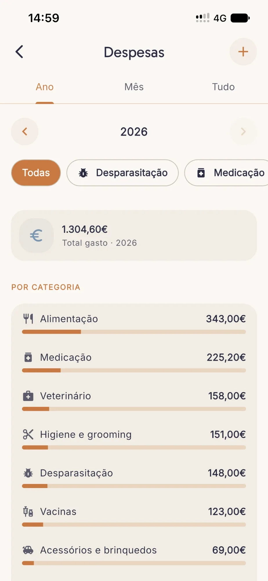 Despesas do ano por categoria